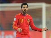 Bóng đá anh, ngoại hạng anh, lịch thi đấu euro 2012, Cesc Fabregas tin ĐT Mĩ sẽ đi tới trận bán kết